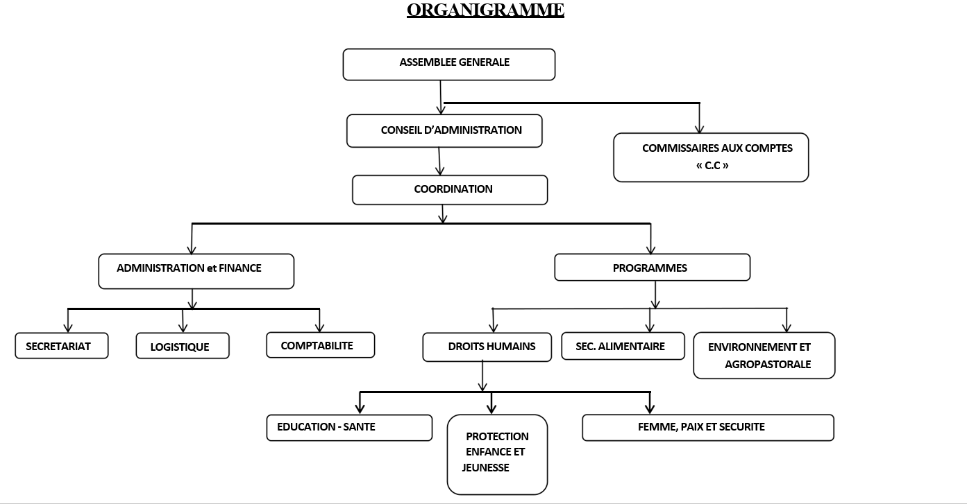 Organigramme